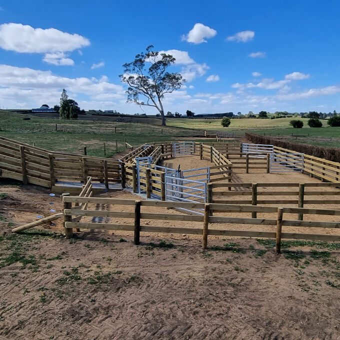 Fully Fenced Agricultural Fencing Gallery