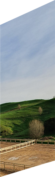 Fully Fenced Agricultural Fencing