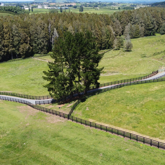 Fully Fenced Agricultural Fencing Gallery