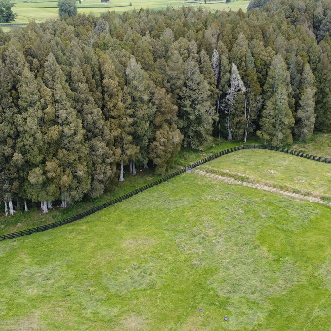 Fully Fenced Agricultural Fencing Gallery